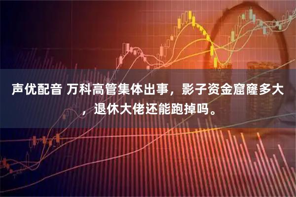 声优配音 万科高管集体出事，影子资金窟窿多大，退休大佬还能跑掉吗。