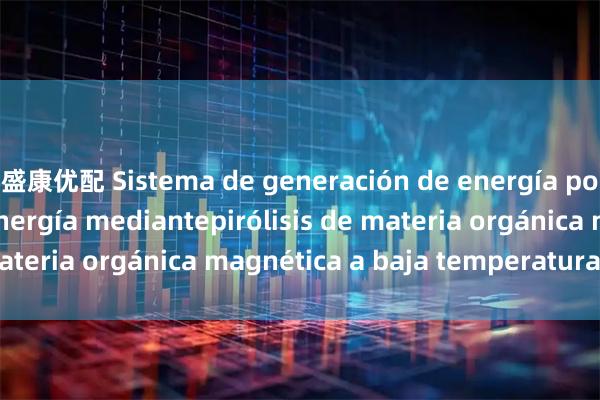 盛康优配 Sistema de generación de energía por conversión de energía mediantepirólisis de materia orgánica magnética a baja temperatura_la_los